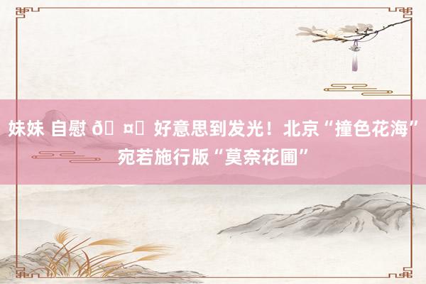 妹妹 自慰 🤗好意思到发光！北京“撞色花海”宛若施行版“莫奈花圃”
