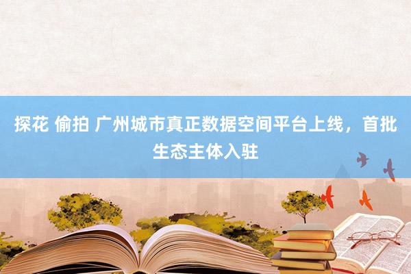 探花 偷拍 广州城市真正数据空间平台上线，首批生态主体入驻