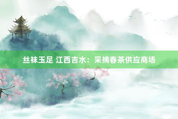 丝袜玉足 江西吉水：采摘春茶供应商场