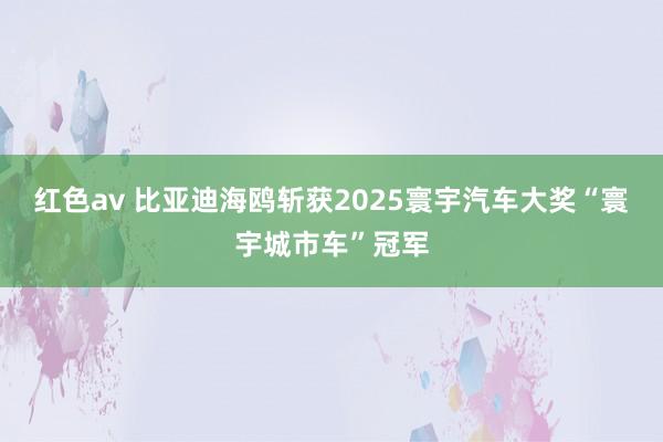 红色av 比亚迪海鸥斩获2025寰宇汽车大奖“寰宇城市车”冠军