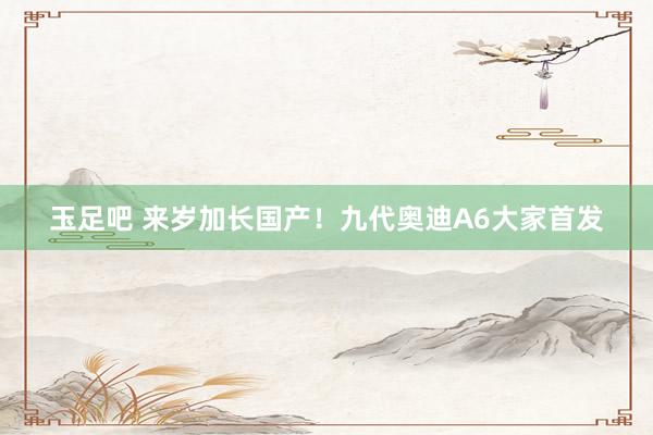 玉足吧 来岁加长国产！九代奥迪A6大家首发