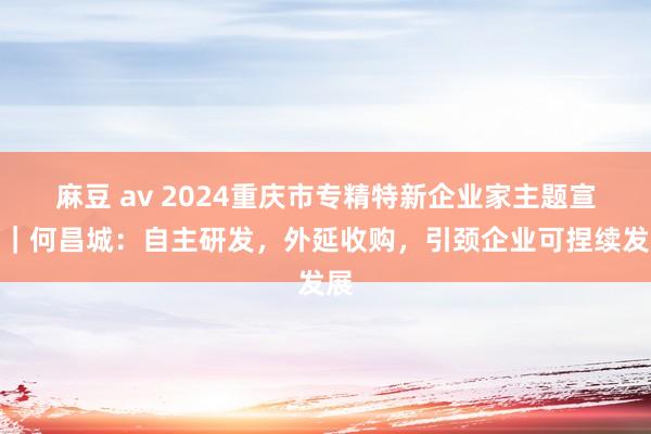 麻豆 av 2024重庆市专精特新企业家主题宣传｜何昌城：自主研发，外延收购，引颈企业可捏续发展