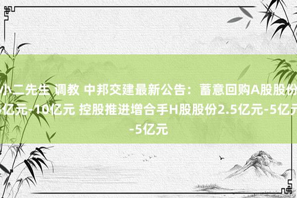 小二先生 调教 中邦交建最新公告：蓄意回购A股股份5亿元-10亿元 控股推进增合手H股股份2.5亿元-5亿元