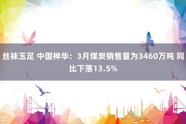 丝袜玉足 中国神华：3月煤炭销售量为3460万吨 同比下落13.5%