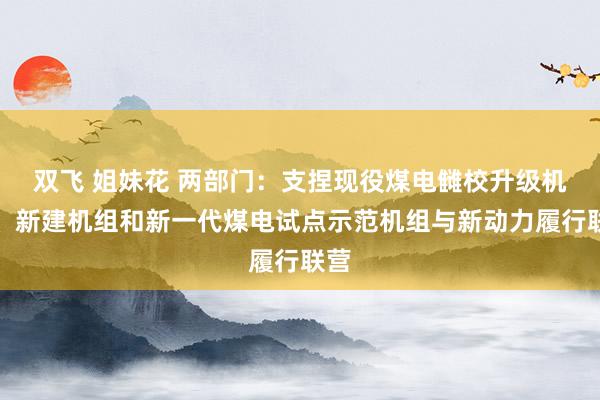 双飞 姐妹花 两部门：支捏现役煤电雠校升级机组、新建机组和新一代煤电试点示范机组与新动力履行联营