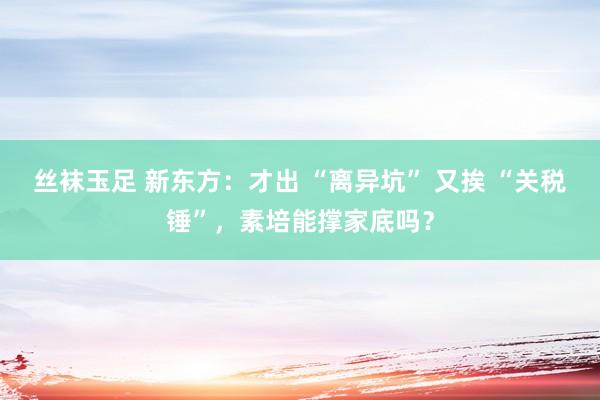 丝袜玉足 新东方：才出 “离异坑” 又挨 “关税锤”，素培能撑家底吗？